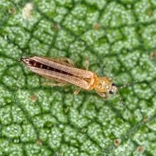 Small manufacture image 8