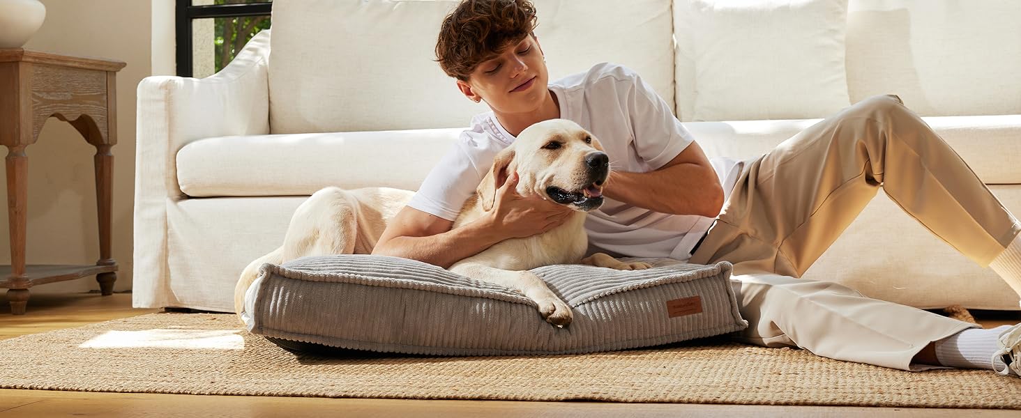 flat dog bed