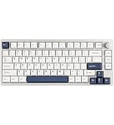Epomaker Galaxy100 ホワイト(wisteria) EPOMAKER Galaxy100 QMK/VIA Gaming Keyboard with 8000mAh