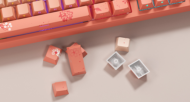 Amazon.com: XVX Cherry Blossoms PBT Keycaps, Double Shot