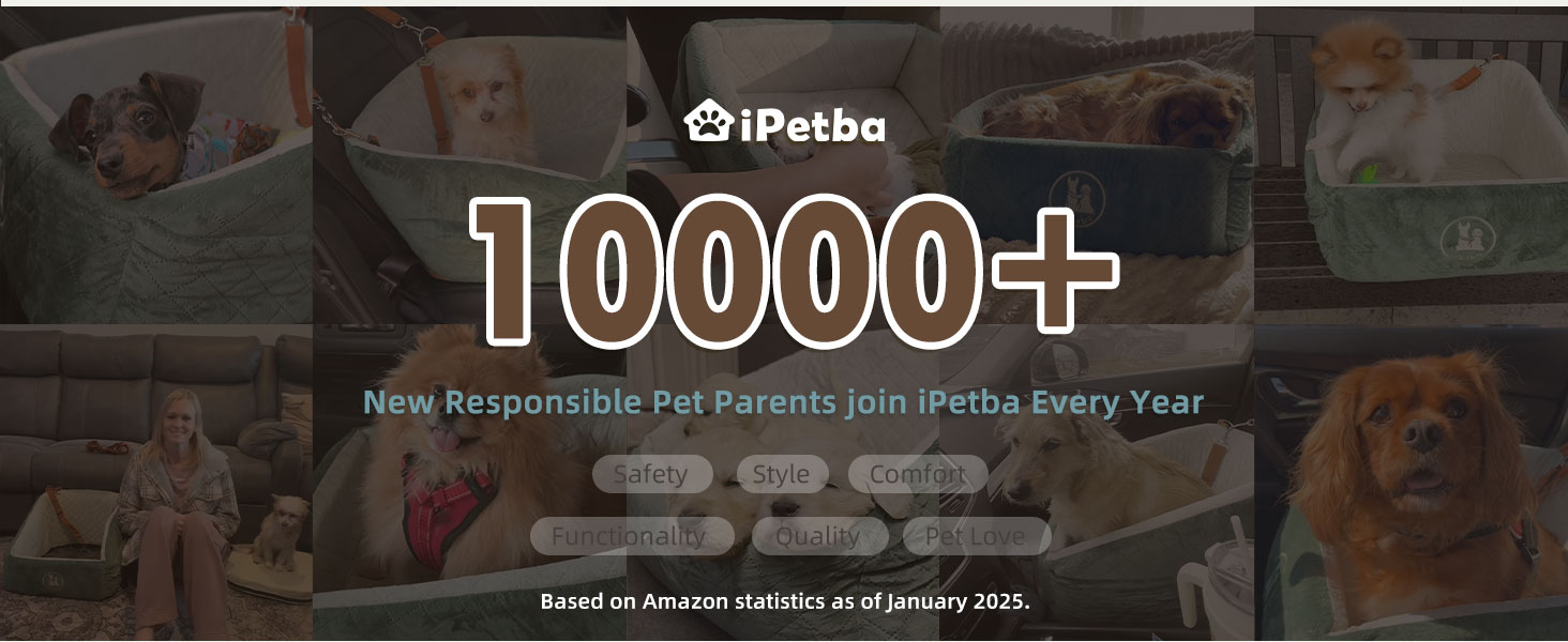 cat carrier for travel in a car