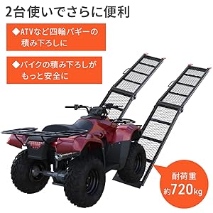 Amazon.co.jp: iimono117 ラダーレール 折りたたみ コンパクト