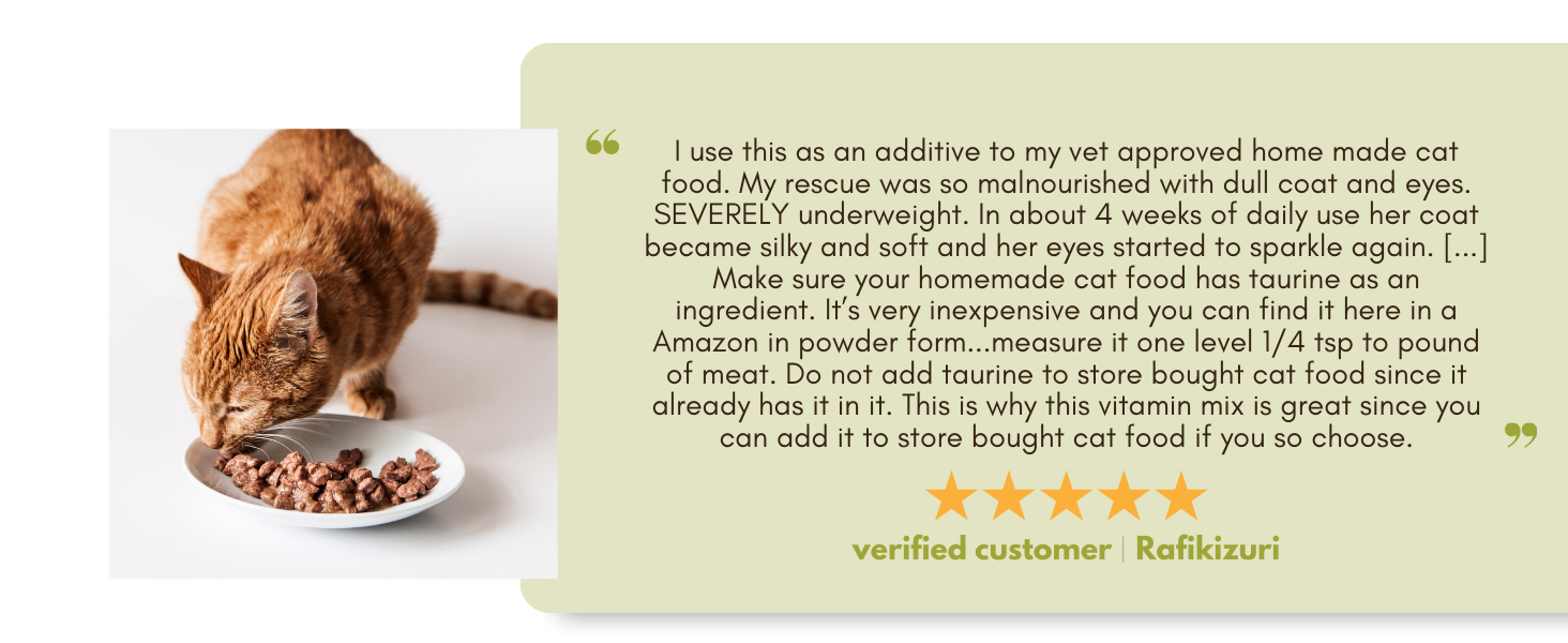 digestive supplements for cats cat digestive supplements cat skin and coat supplement cat allergy