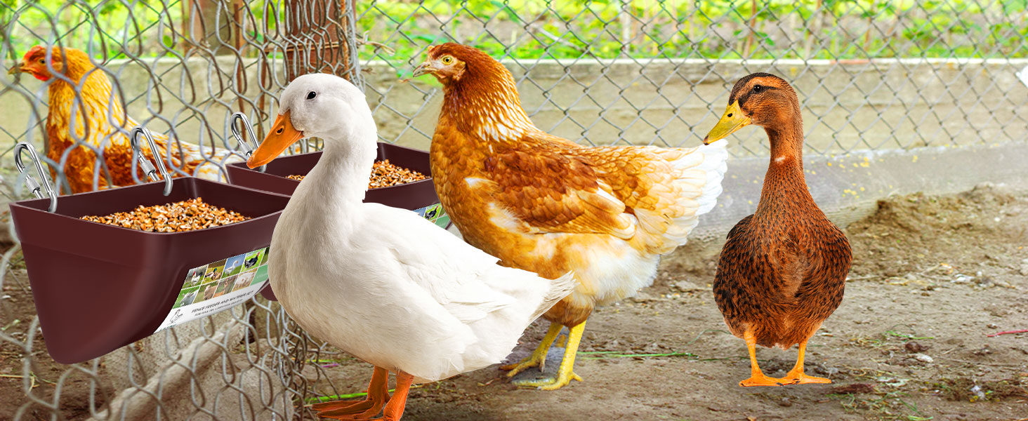 Chicken and Duck Usage Scenarios