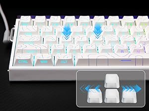 EPOMAKER Aula Hero68 HE Wired Magnetic Gaming Keyboard