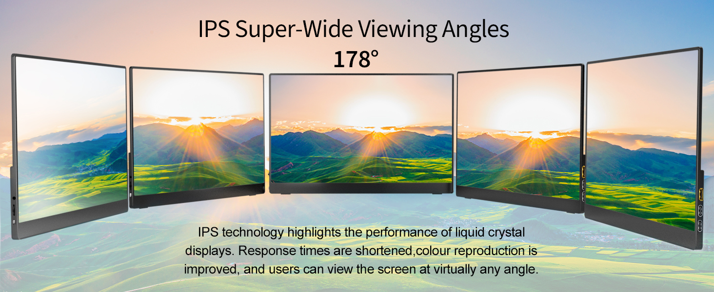 18.5 Inch Portable Monitor