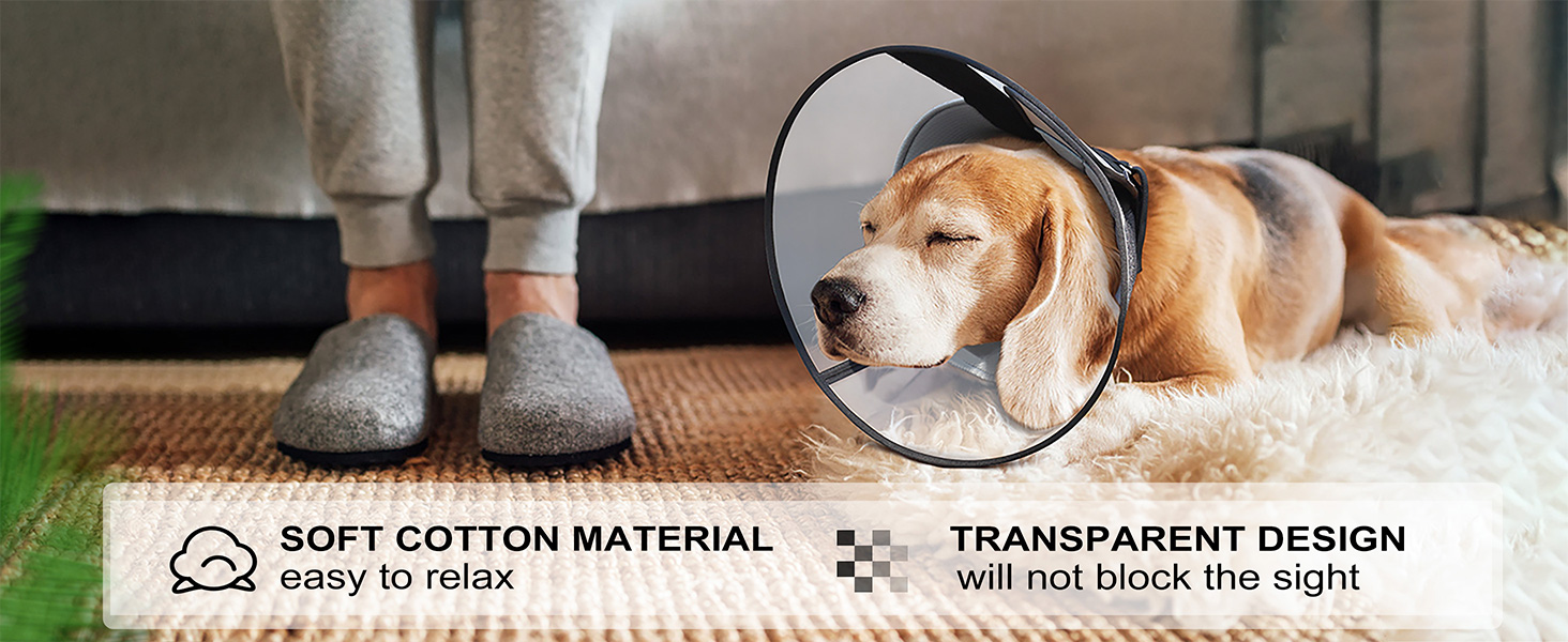 dog cone collar