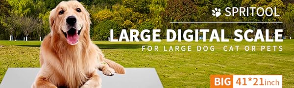 BIG PLATFORM SCALE 660LB