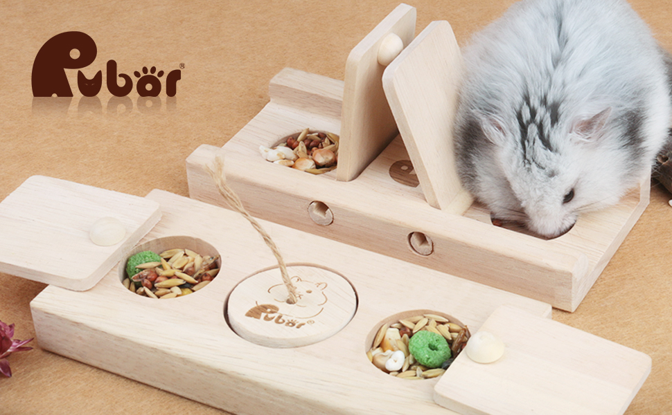 Guinea Pig Foraging Toys