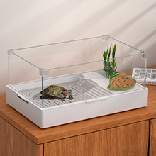 Cuenco de comida para reptiles 