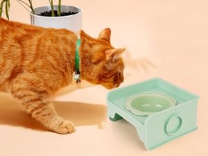 anti spill cat bowl