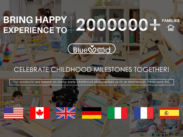 BlueWood pikler toddler climbing kids indoor play gym indoor play gym