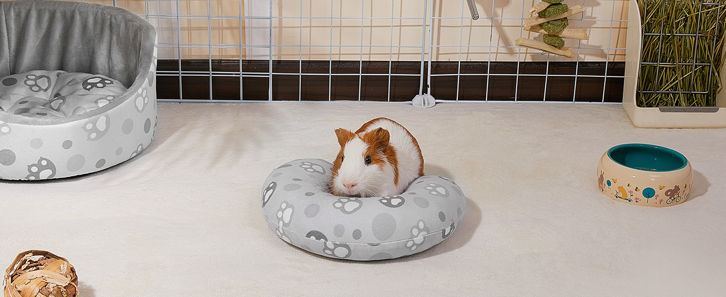 guinea pig pillow