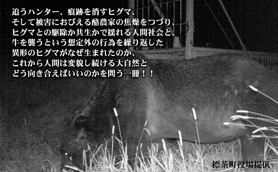 えり ピグマシリーズ 小学校1年 7月号〜翌年2月号(8ヶ月分)全量セット えり様専用 ピグマシリーズ 小学校1年 7月号〜翌年2月号(