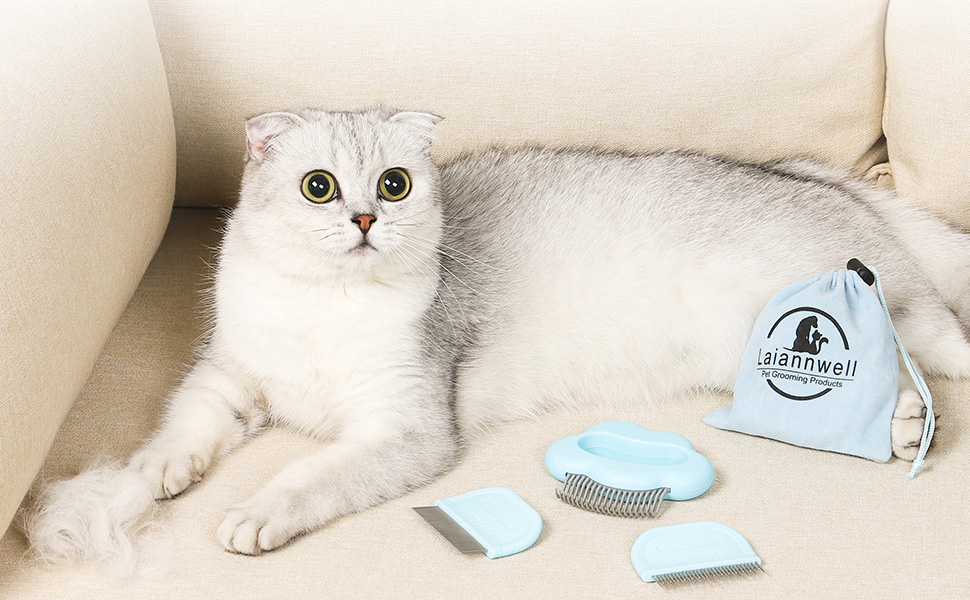 Fluffy hairs, tangles and fleas are common on pets and need to be removed regularly.