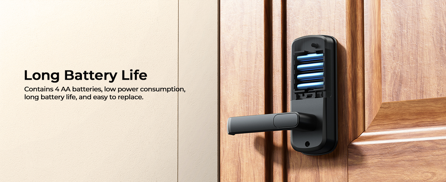 smart lock with handle