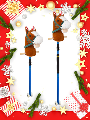 hobby horse on a stick