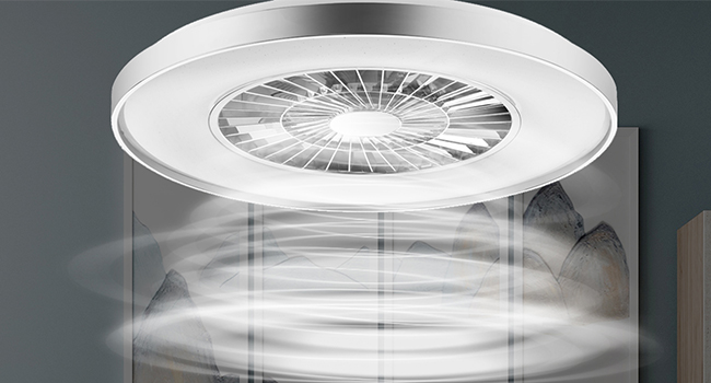 24 LEVELS SPEED ADJUSTMENT