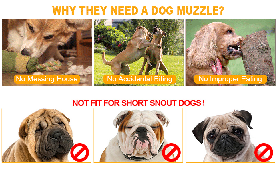 Dog Training Muzzle