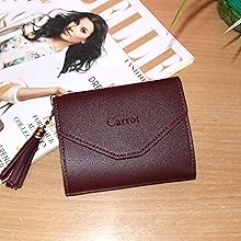 carrot wallet img