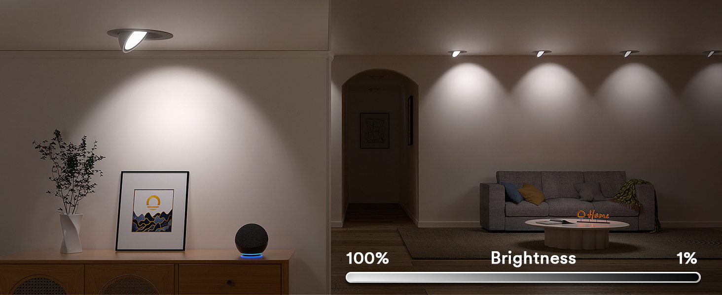 smart gimbal recessed light