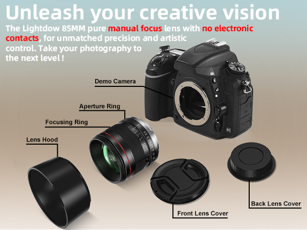 Amazon.com : E 85mm f1.8 Portrait Lens - MF for Sony a7 IV