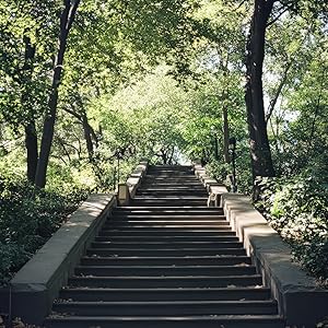 단계적으로