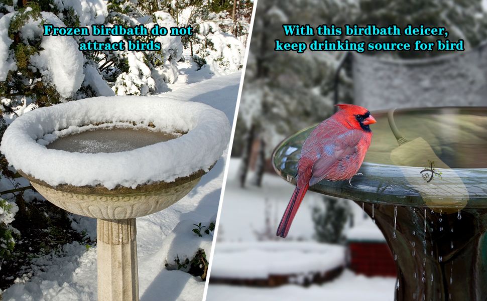 GESAIL Bird Bath Heater, Built in Thermostat Safety
