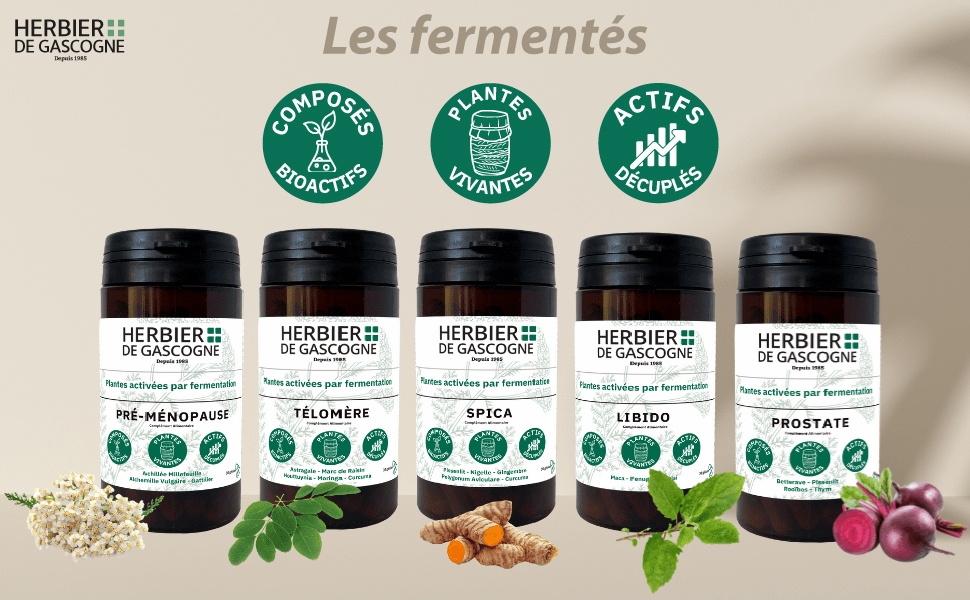 Le texte se lit comme suit : « Les fermentés ». Gamme de produits comprenant plusieurs bocaux en verre d'aliments fermentés avec des étiquettes de certification circulaires vertes, disposés avec des herbes fraîches et des ingrédients.