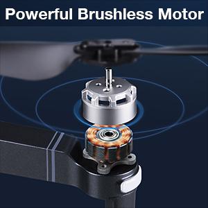 Brushless Motor