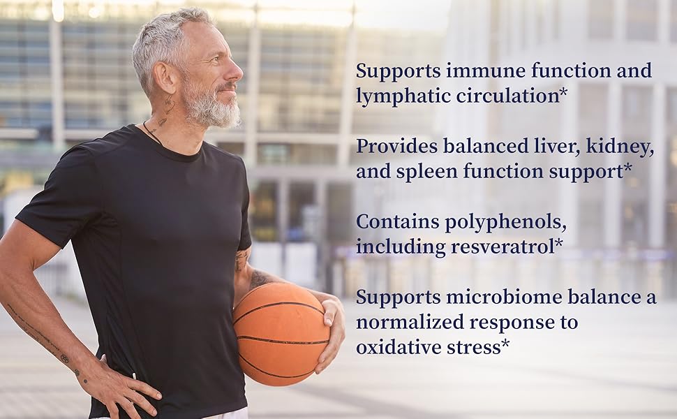 Astragalus, Knotweed, Red Root herb for circulation, gut microbiome balance, neurological, liver 