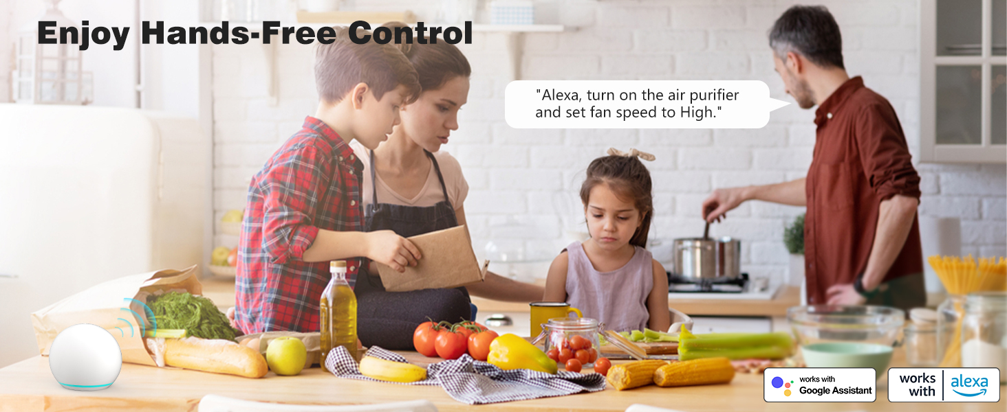 smart air purifiers for voice control
