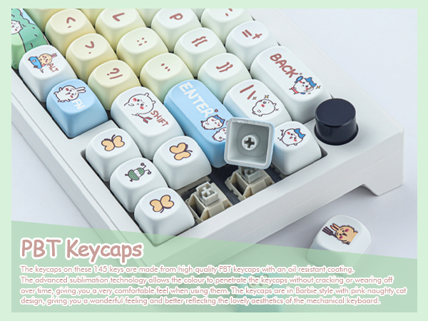 tou ki❤️ Amazon.com: TYRIXKI PBT Keycaps 145 Keys MOA Profile Cute