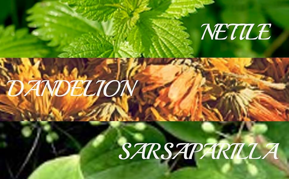 Iron Hammer Tea for Kidney