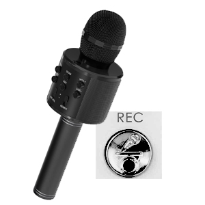 Amazon.com: 5 CORE Microphone Wireless Karaoke Mic with