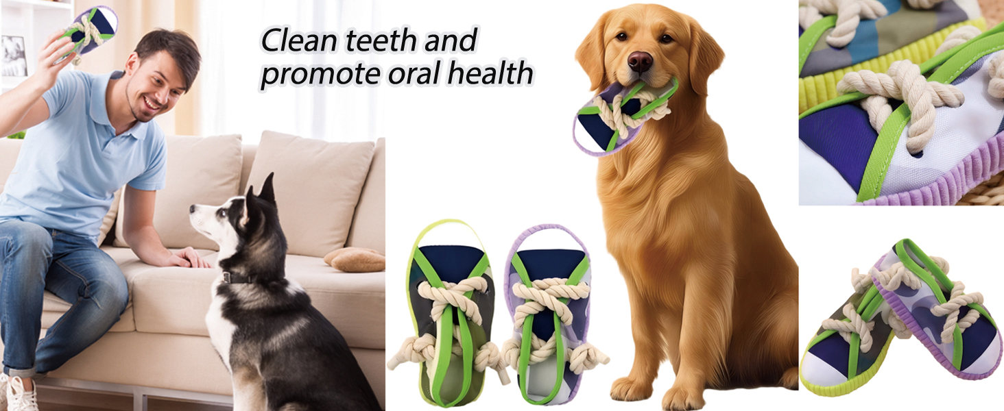 Dog slipper toy