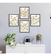 Art3d Botanical Plant Wall Art Prints 4 Piece Set Flower Wall Decor for Living Room Kitchen Bedro...