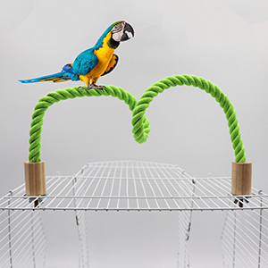 Soporte de cuerda para pájaros