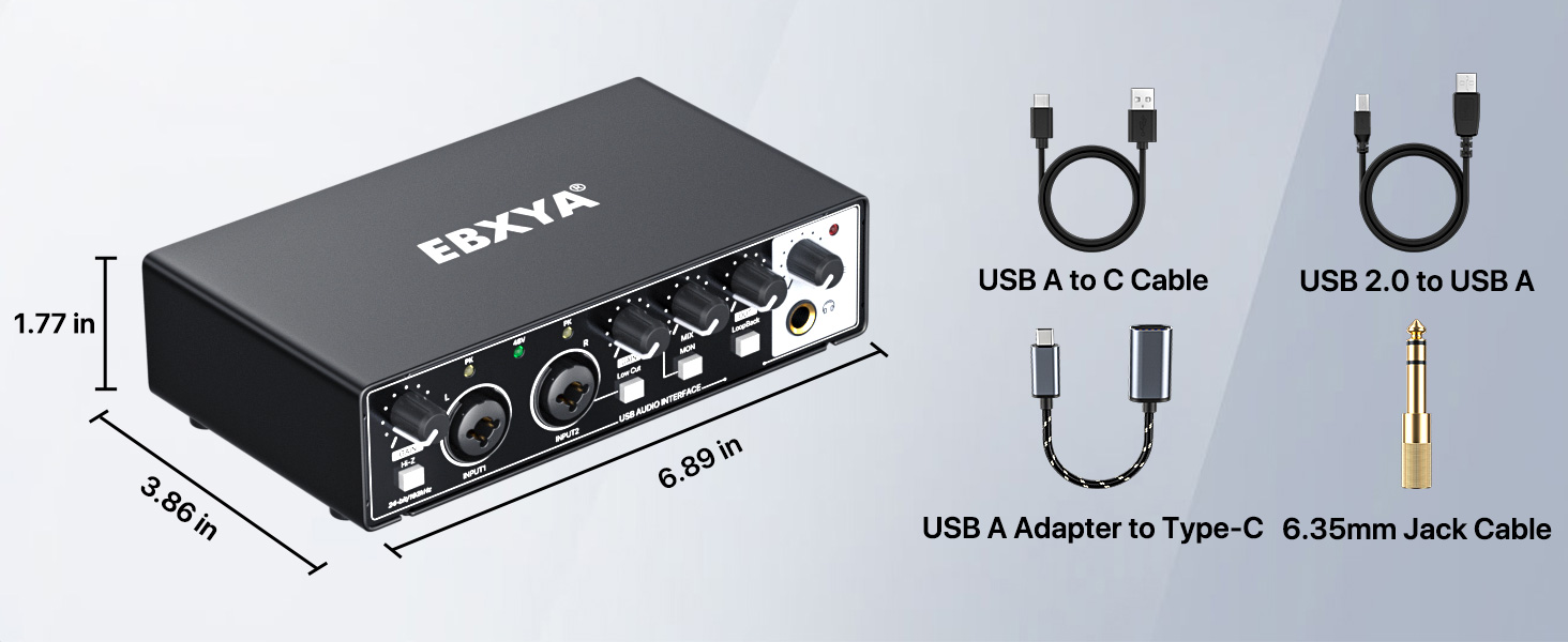Audio Interface 2 In and Out Compatible with Recording Softwares PC for TYPE C and USB Adapter
