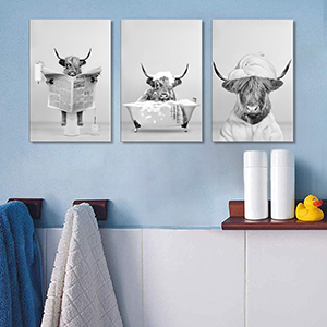 3 Piece Black and White Highland Cow Bathroom Wall Art