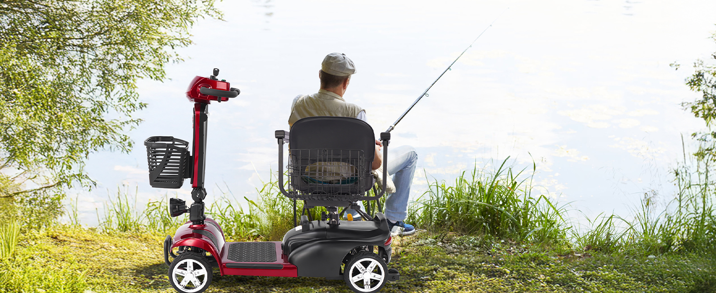 electric scooter for adult