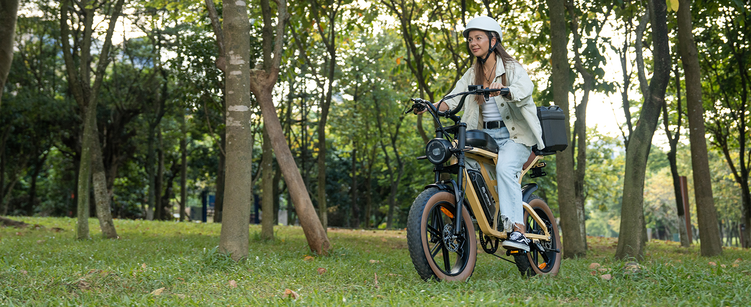 electric bikes for adults