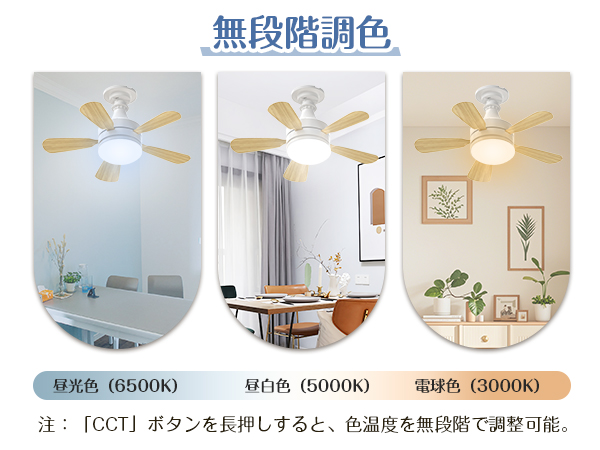 シーリングファンライト