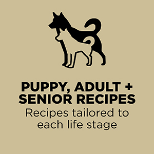 Puppy, Adult, and Senior Recipes