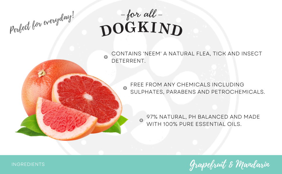 For All DogKind 2-in-1 Dog Shampoo - Refreshing Grapefruit and Mandarin Oil - Gentle Care for Dogs and Puppies - Flea and Tick Wash - Deep Clean & Boost Shine - 250ml 16 2 in 1