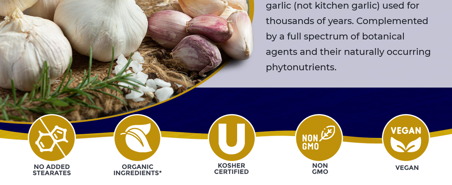 Large manufacture image 6