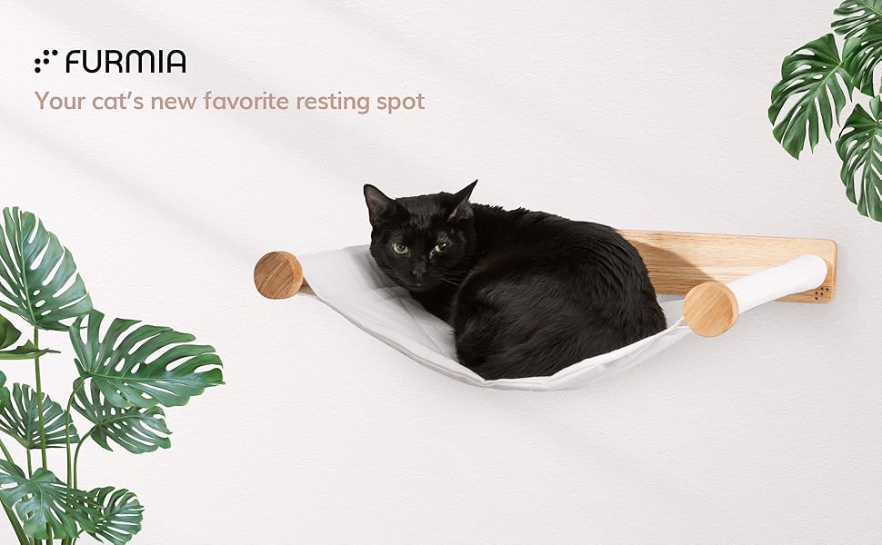 Cat floating shelves