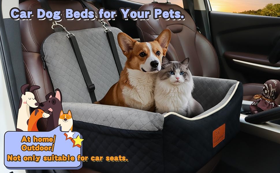 car dog beds