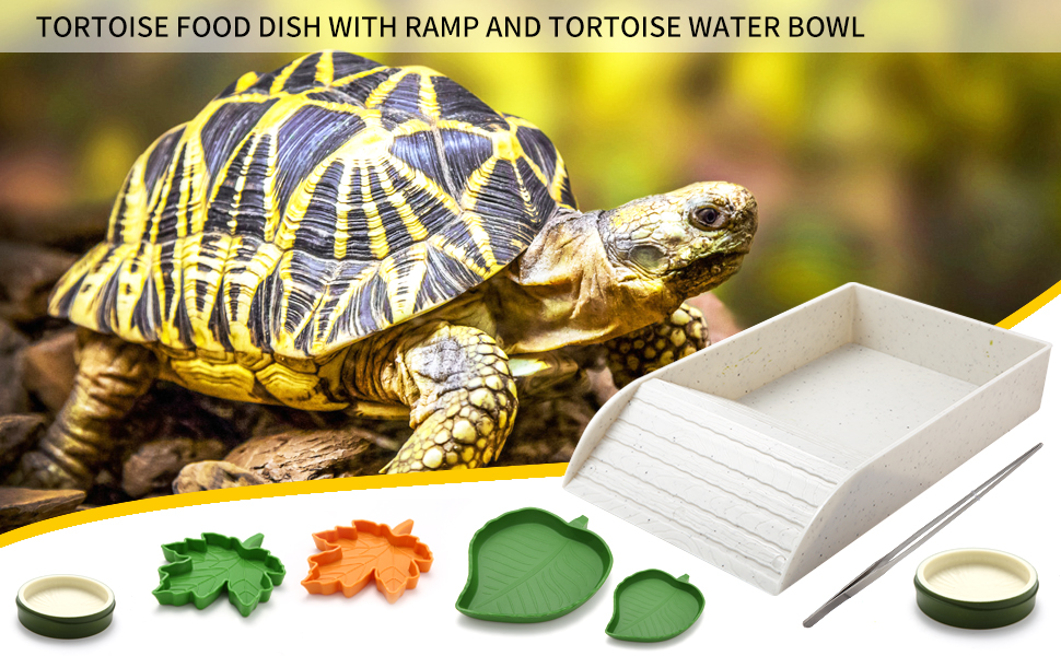 Tortoise Food Water Dish with Ramp Reptile Feeding Dish