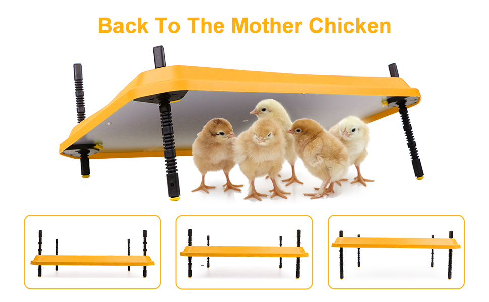 Chick Brooder Heating Plate, 23.6"x17.7"Chicken Brooder